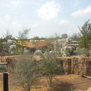 Giants of the Savanna - predator viewing areas