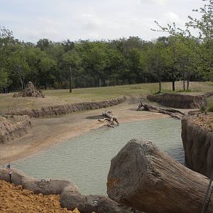 Giants of the Savanna - South Habitat