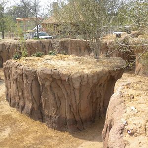 Giants of the Savanna - Donga