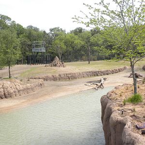 Giants of the Savanna - South habitat