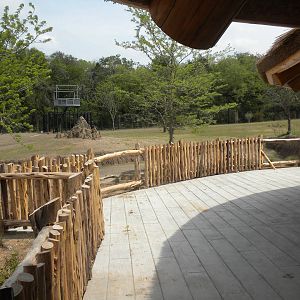 Giants of the Savanna - Base Camp