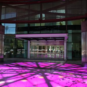 Ecosystems - April 5, 2010