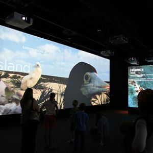 Ecosystems - April 5, 2010