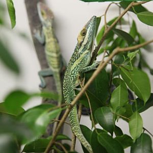 Ecosystems - April 5, 2010