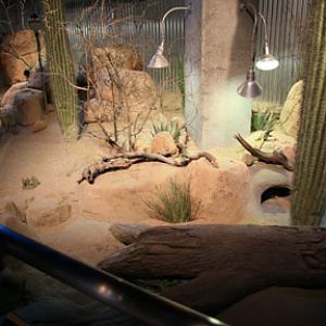 Ecosystems - April 5, 2010