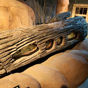 Ecosystems - April 5, 2010