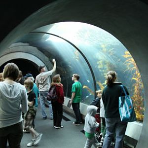 Ecosystems - April 5, 2010