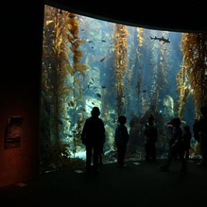 Ecosystems - April 5, 2010