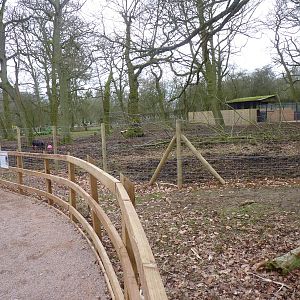 Wild Boar Enclosure