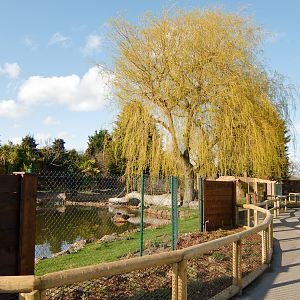Giant Otter Enclosure - 07/04/2010