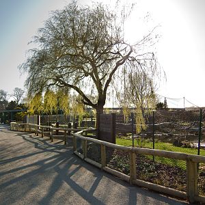 Giant Otter Enclosure - 07/04/2010