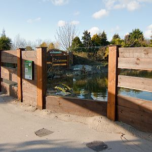 Giant Otter Enclosure - 07/04/2010