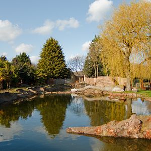 Giant Otter Enclosure - 07/04/2010