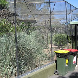 Mixed species aviary