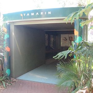 Entrance to Tamarin building