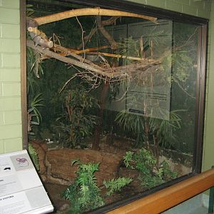 Tamarin indoor enclosure