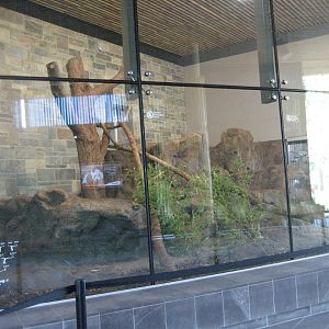 Wang Wangs indoor enclosure