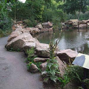 Visitor path, Asian Marshes