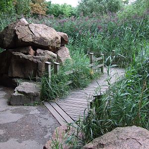 Visitor path, Asian Marshes