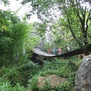Walk-through Asian aviary, Asian Marshes