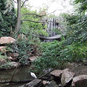 Walk-through Asian aviary, Asian Marshes
