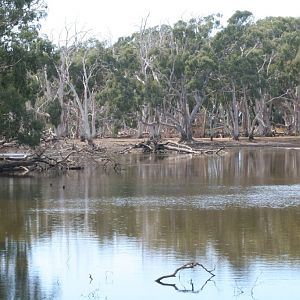View of Duck Lagoon
