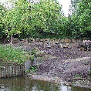 Indian Rhino enclosure