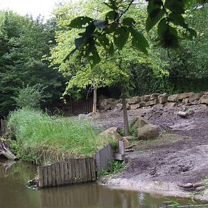 Indian Rhino enclosure