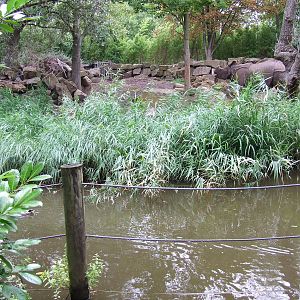 Indian Rhino enclosure