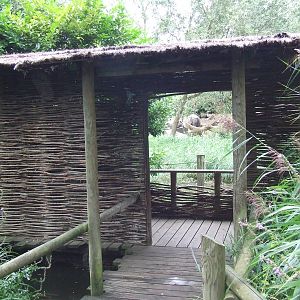 Indian Rhino enclosure, Viewing Hut