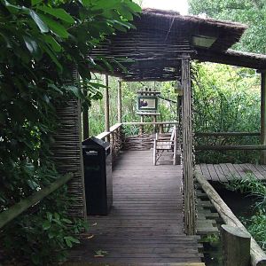 Indian Rhino enclosure, Viewing Hut