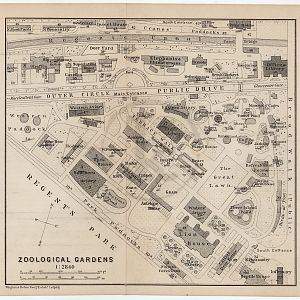 old map of london zoo