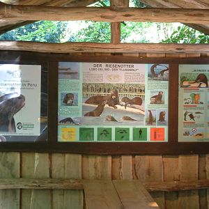 giant otter visitor information
