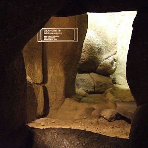 Gila Monster terrarium, Burgers Desert