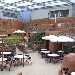 Restaurant, Burgers Desert