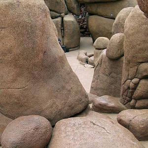 Rockwork, Burgers Desert