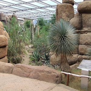 Landscape, Burgers Desert