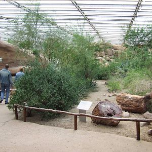 Landscape, Burgers Desert