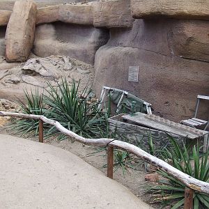 Fossil, Burgers Desert