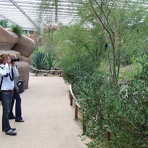 Bird photography, Burgers Desert