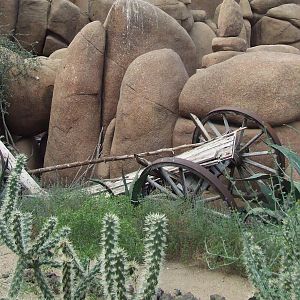 Landscape, Burgers Desert
