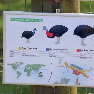 New Cassowary Sign