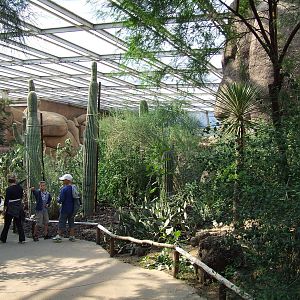 Desert plants, Burgers Desert