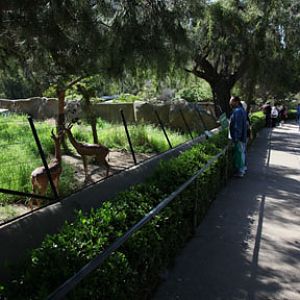 hillside hoofstock exhibits