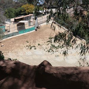 off exhibit hoofstock yard