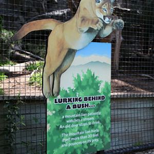 new sign at puma exhibit