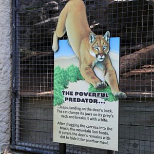 new sign at puma exhibit