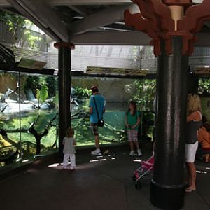 asian turtle exhibit