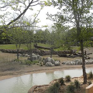 Giants of the Savanna - South Habitat