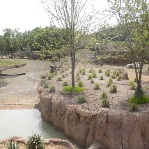 Giants of the Savanna - South Habitat